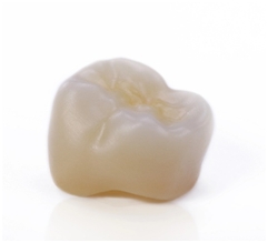 Teeth